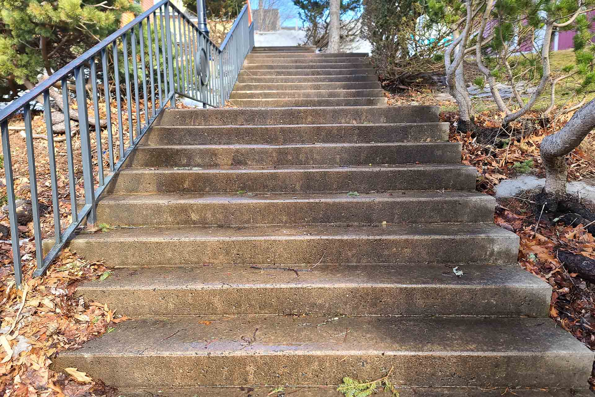 Outdoor cement stairs lead up through a park